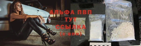 мяу мяу мука Абаза