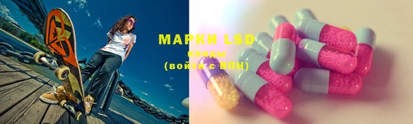мяу мяу мука Абаза
