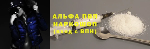 гашик Алексеевка