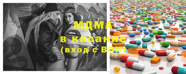 индика Алексин