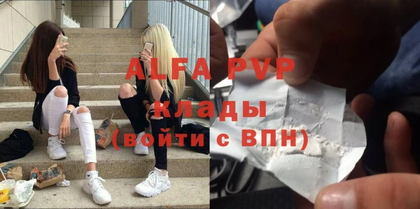 индика Алексин